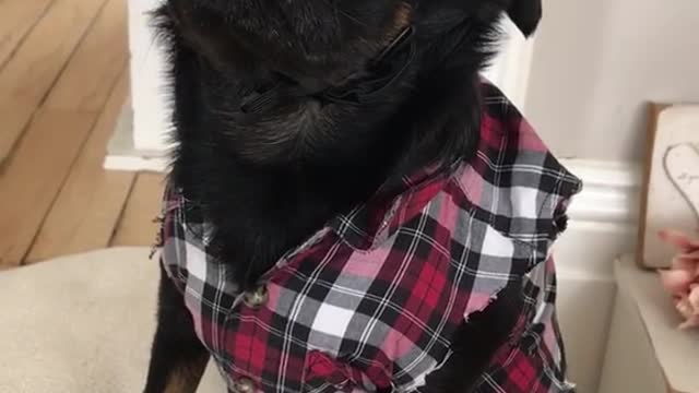 Yeehaw