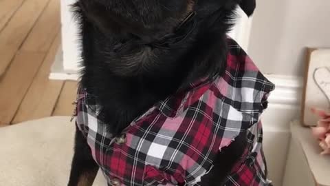 Yeehaw