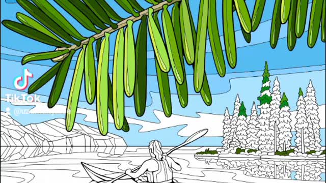 Coloring drawing #492