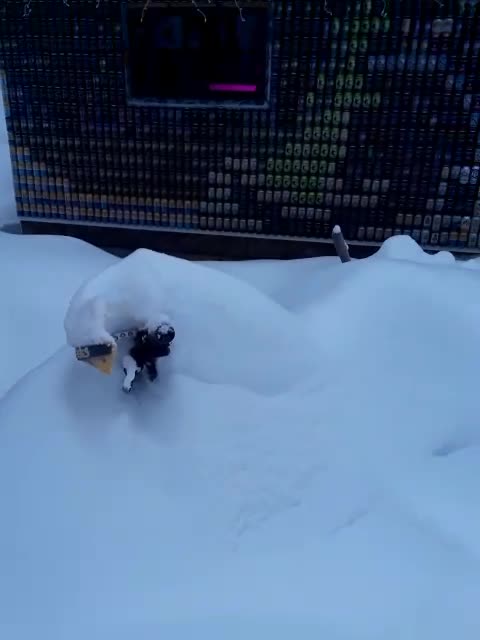 ADAM and EVE (PLANET EARTH) PART 1