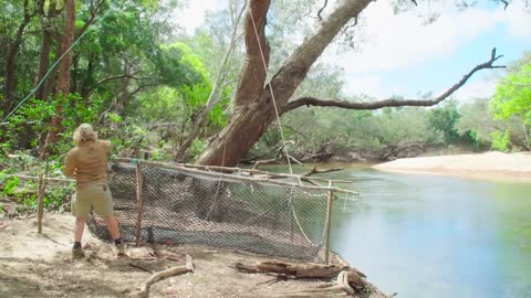 An incredible croc on the Steve Irwin Wildlife Reserve Wildlife Warriors Missions