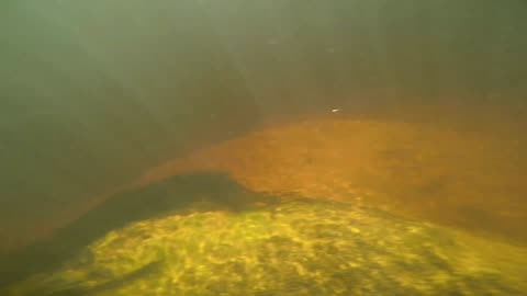 Underwater Adventure