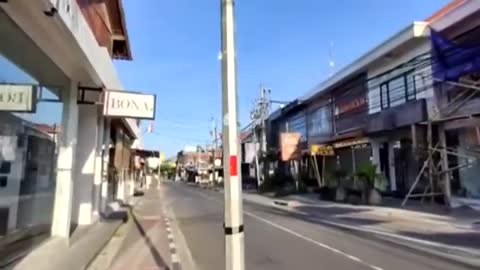 THE REAL ANTHONY FAUCI