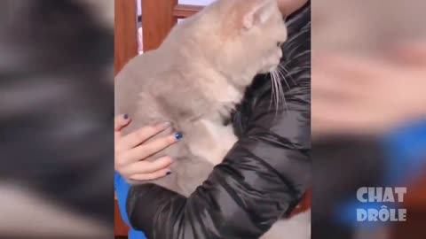 Cute Pets And Funny Animals Compilation!!!