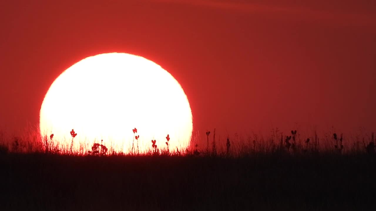 Ambient Sunset