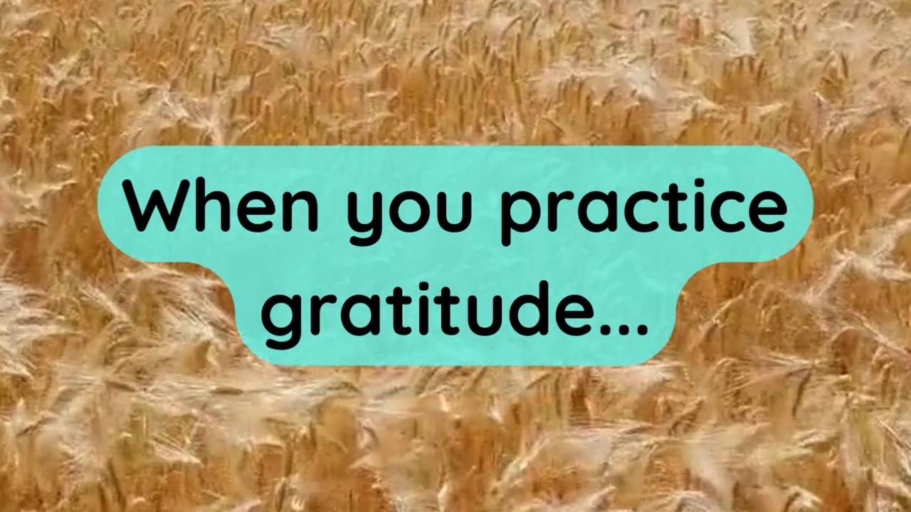 When you practice gratitude...