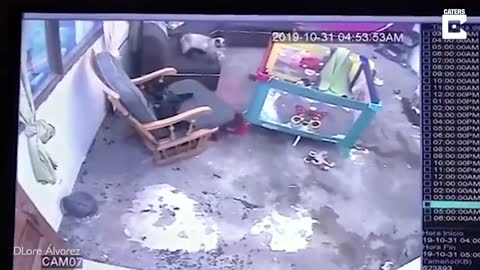 Cat Saves Toddler From Falling Down Stairs