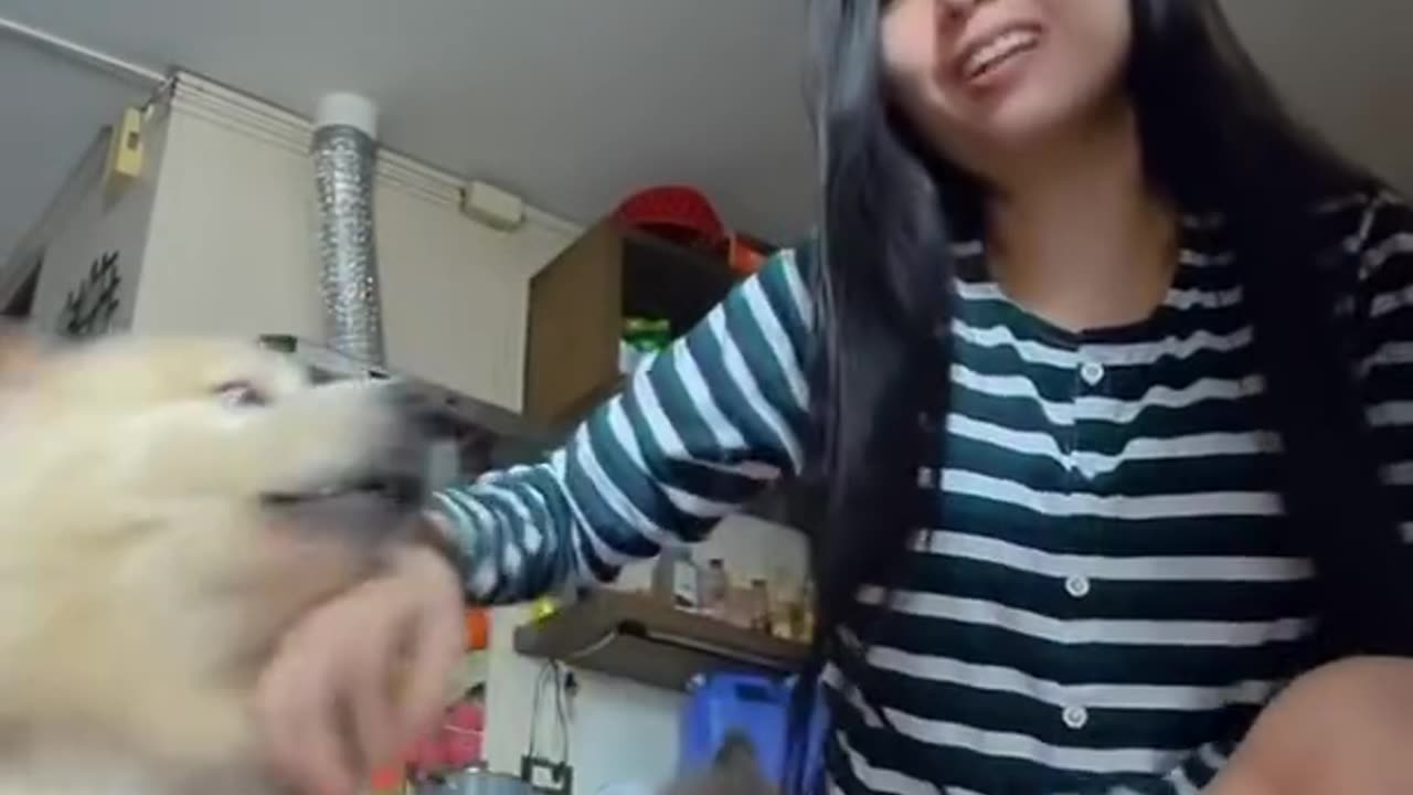 pano pag selosin ang aso