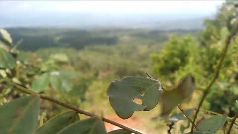 Pemandangan