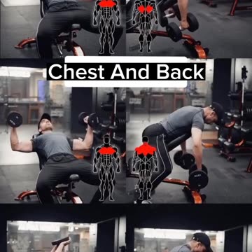 Chest And Back Workouts