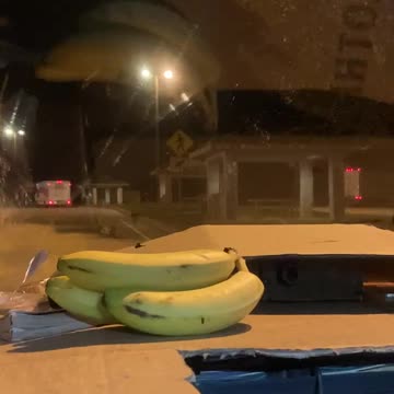 About as ironic as ironic gets