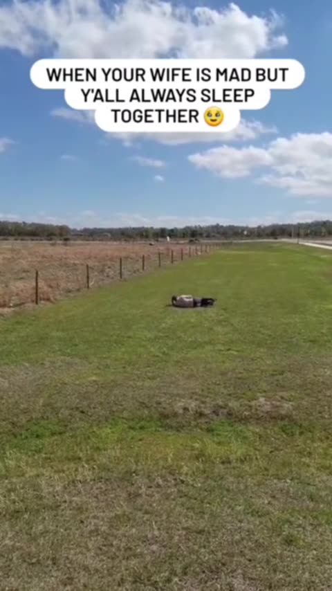 When your wife is mad at You.