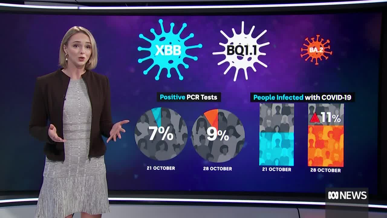 Australians warned of 'another COVID wave' as sub-variants take hold | ABC News
