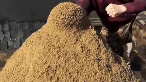Slow motion amazing 😍 video