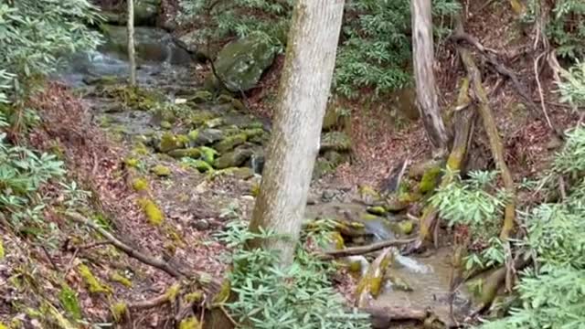Porch view from our airbnb in the Blue Ridge Mountains