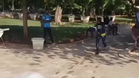 Funny fails