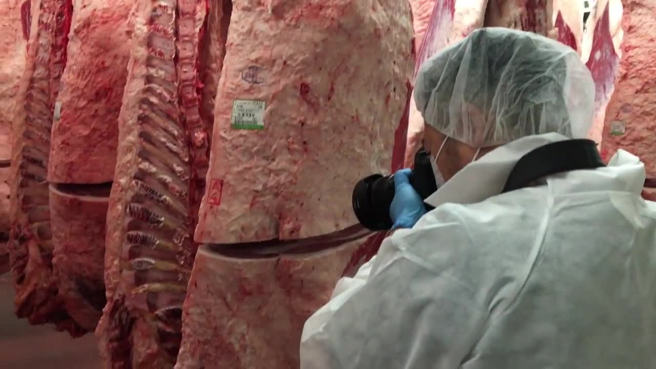 Wagyu factory Kagoshima: The carcasses hang out for 2 days