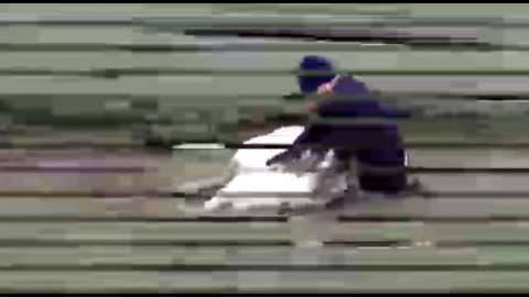 horse. 🌞⭐⭐⭐⭐⭐⭐😲😲😲😲