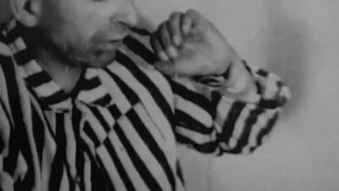 Here are ties of seven brands to the third reich that you may not know o