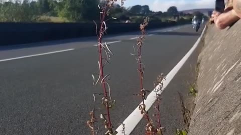 Isle of man TT Road racing 2017