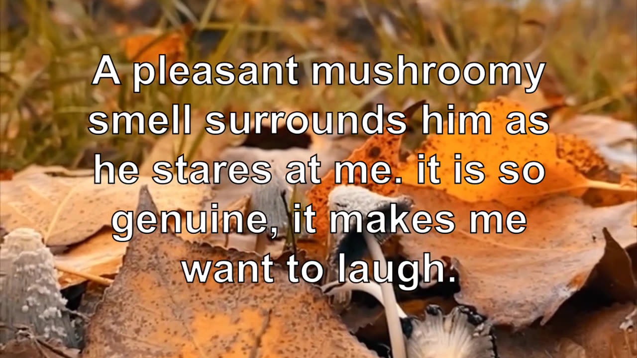 A pleasant mushroomy smell surrounds him as he stares at me. it is so genuine, it makes me want...