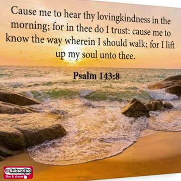 Morning Prayer to trust God #youtubeshorts #grace #jesus #mercy #faith #fyp #bless #trust #love #joy