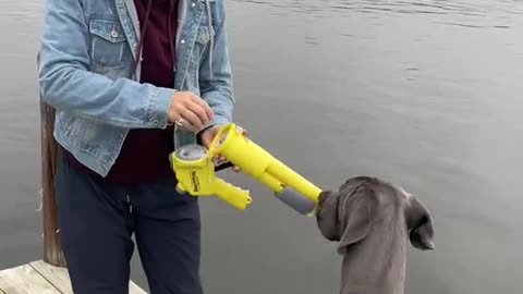 It’s just a better way to shotgun a beer