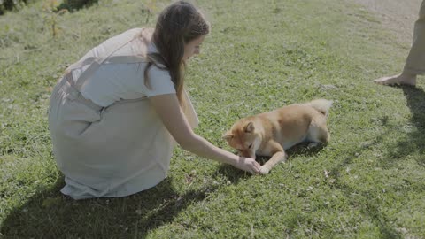 Cute video|| Dog training||