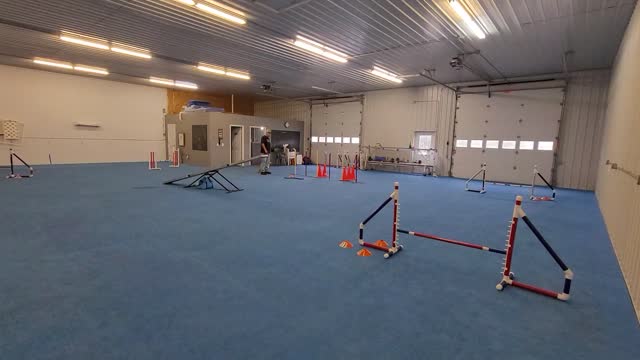 Kenji agility training