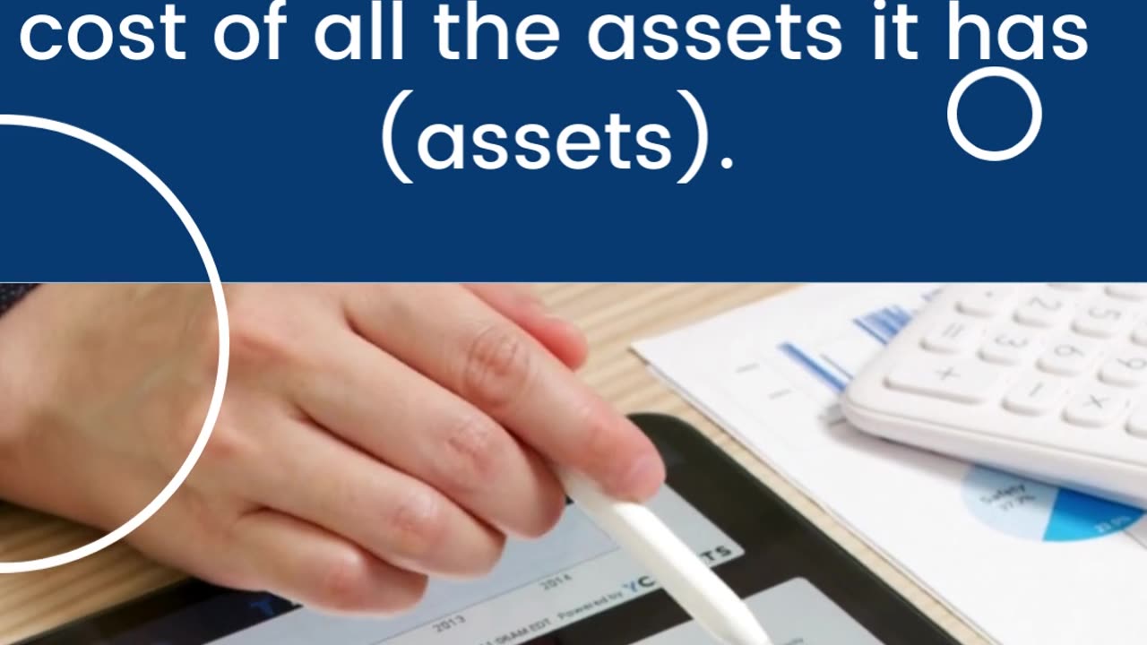 OVERVIEW on what a BALANCE SHEET is