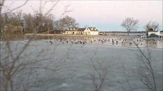 The Migration Continues, Lake Lac Labelle In Southeast Wisconsin