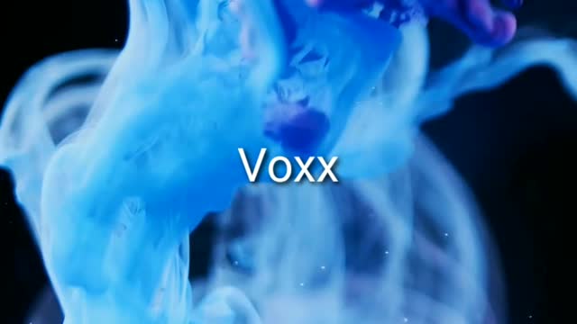 Voxx