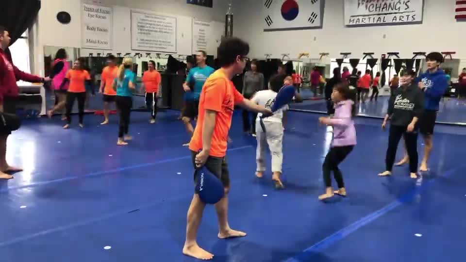 Taekwondo