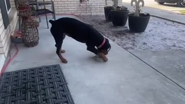 MOM…I FOUND SOMETHING!