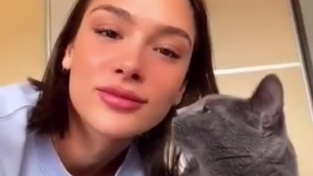 】Cats reaction