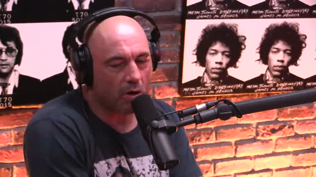 Joe Rogan Experience #979 - Sargon of Akkad