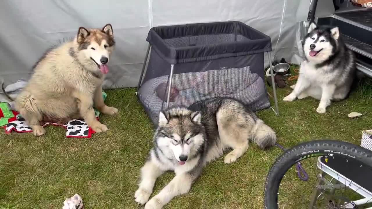 The Best Year Of Our Lives! Baby And Puppy Growing Up Together! (Cutest Ever!!)