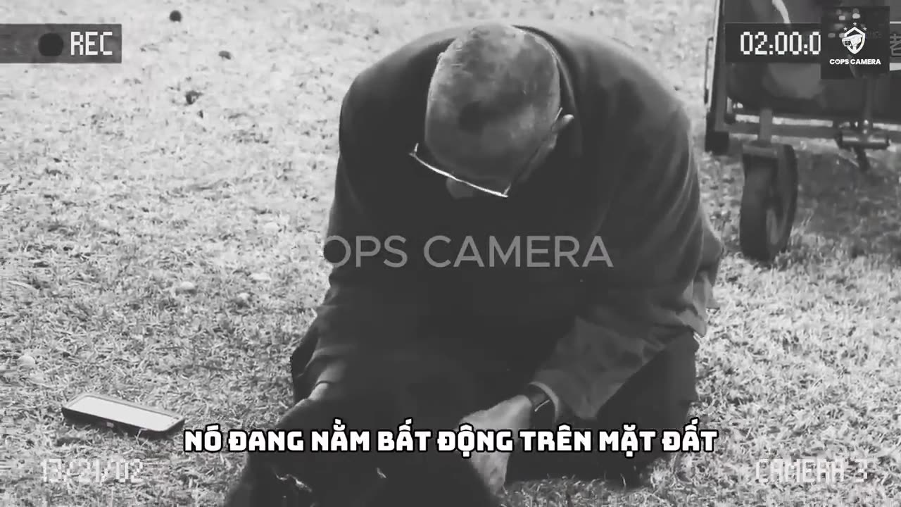 CẢNH SÁT MỸ VÂY BẮT MỘT CON CHÓ CỰC KỲ _CỒNG KỀNH_