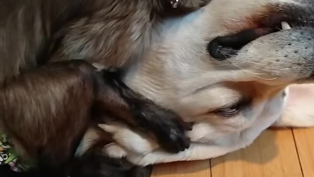 SHARE SHARE SHARE!!!!!!When you just love your sister so much