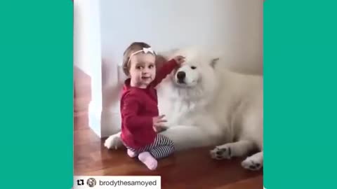 Too Cute to Handle: Baby & Dog Videos That Will Melt Your Heart