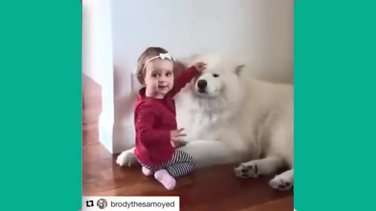 Too Cute to Handle: Baby & Dog Videos That Will Melt Your Heart