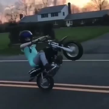 Young'n pop'n wheelie
