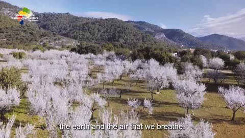 Balearic Islands | The tourism of the future
