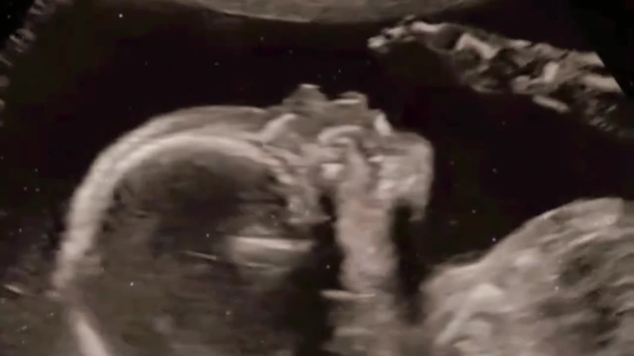 Amazing and mind blowing viral video 2023