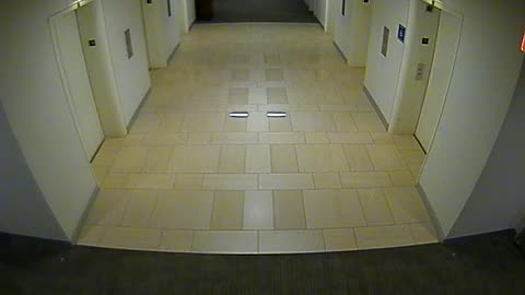 8404OHOB03O3A2MainElevatorLobby_2021-01-06_22h00min01s913ms.mp4