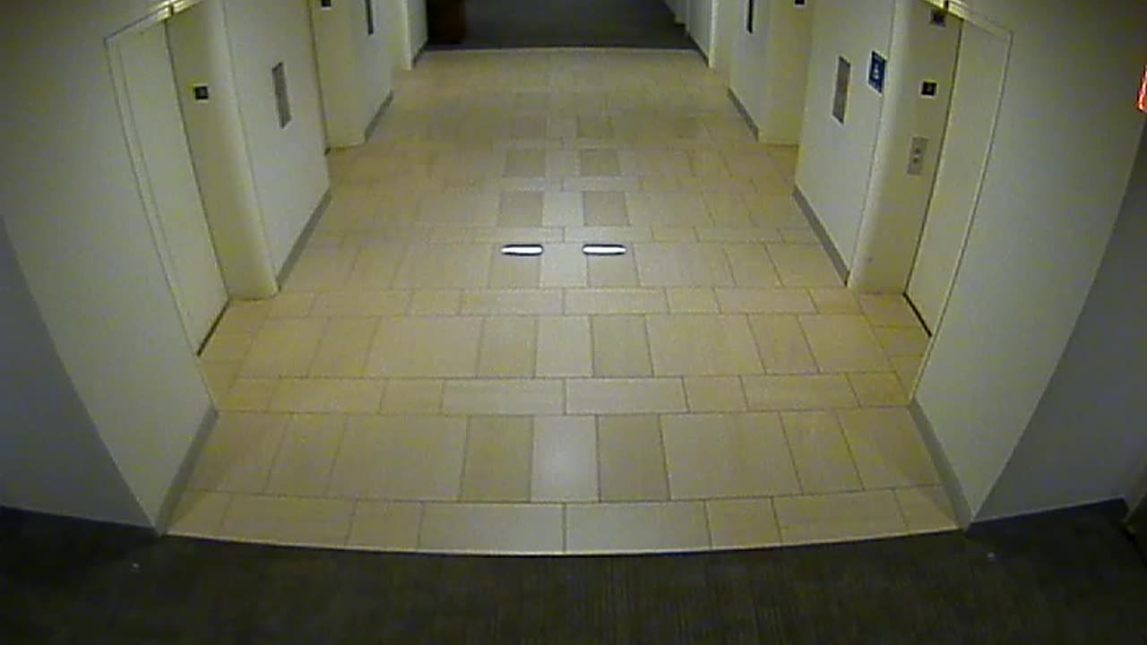 8404OHOB03O3A2MainElevatorLobby_2021-01-06_22h00min01s913ms.mp4