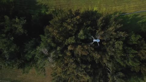 Wtf😱! What this drone found in this dense forest 🌳