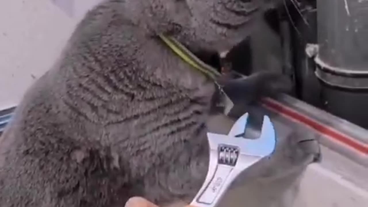 cheap mechanic