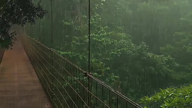 Those sentences about rainy days, or beautiful