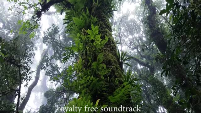 Easy Uptempo Contemporary Corporate - royalty free soundtrack